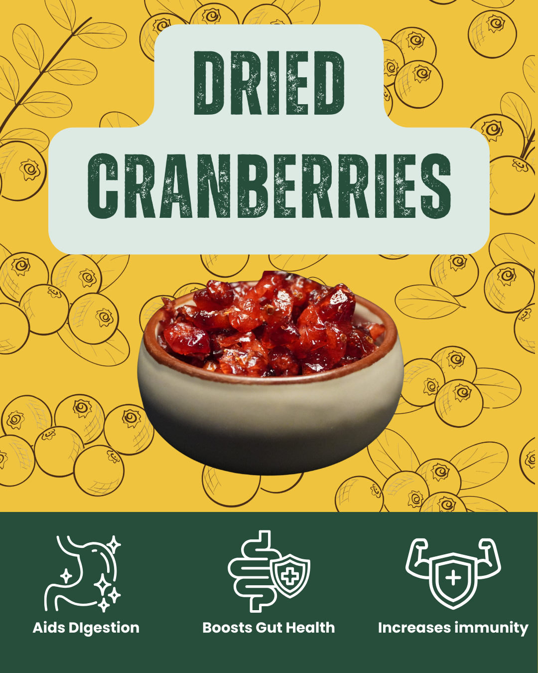 Premium dried cranberries - sweet and tangy snack by SnackVana
