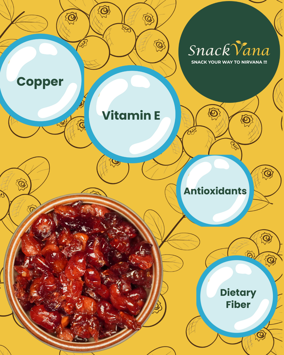 Close-up of dried cranberries with key health benefits