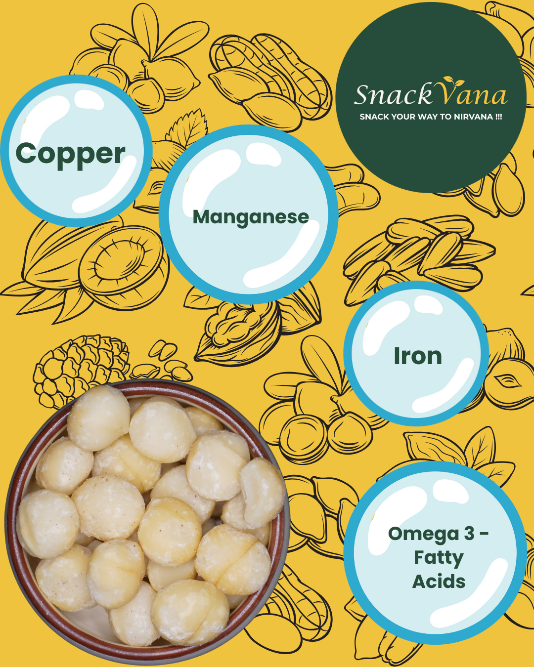 Buttery macadamia nuts - rich in iron, fiber, and Vitamin B1