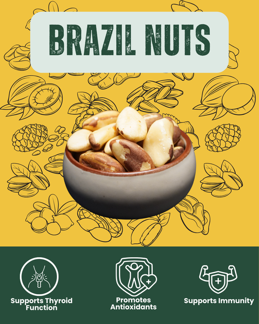Whole shelled Brazil nuts - nature's richest source of selenium for thyroid health