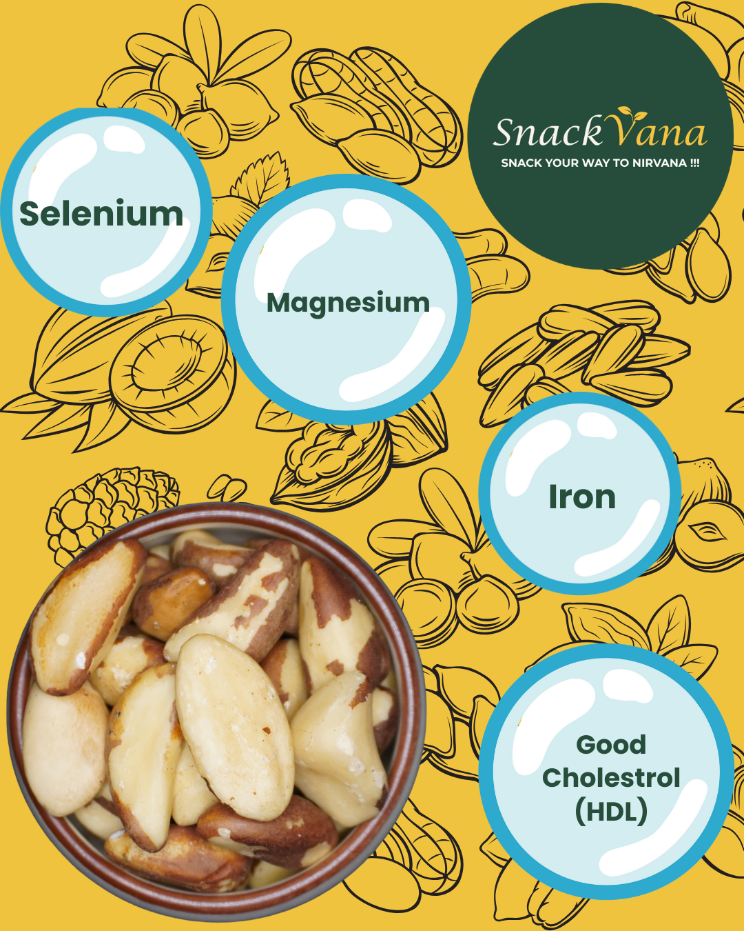 Large Brazil nut kernels - packed with Vitamin E, magnesium, and phosphorus