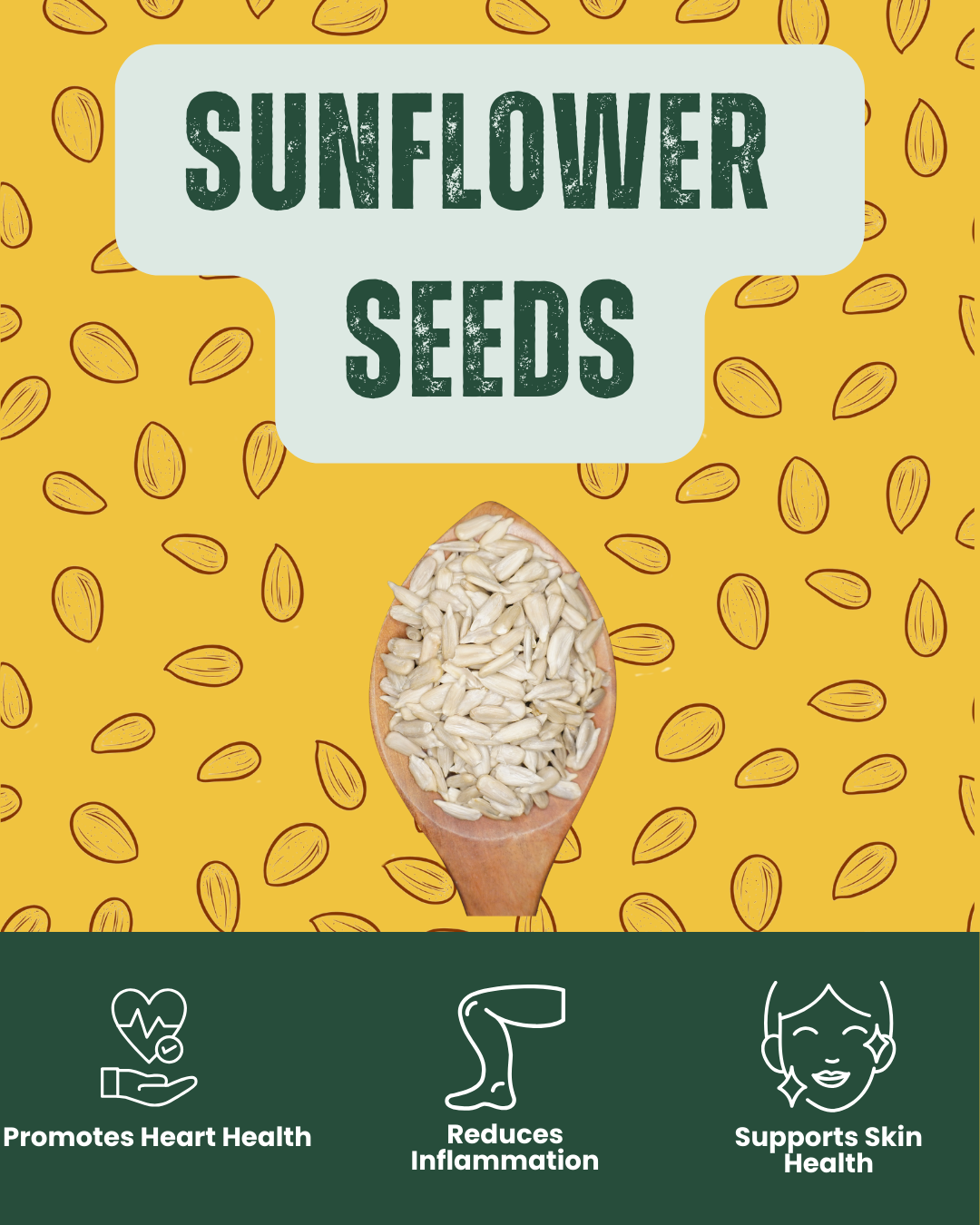 Premium raw sunflower seeds - naturally nutty and nutrient-dense