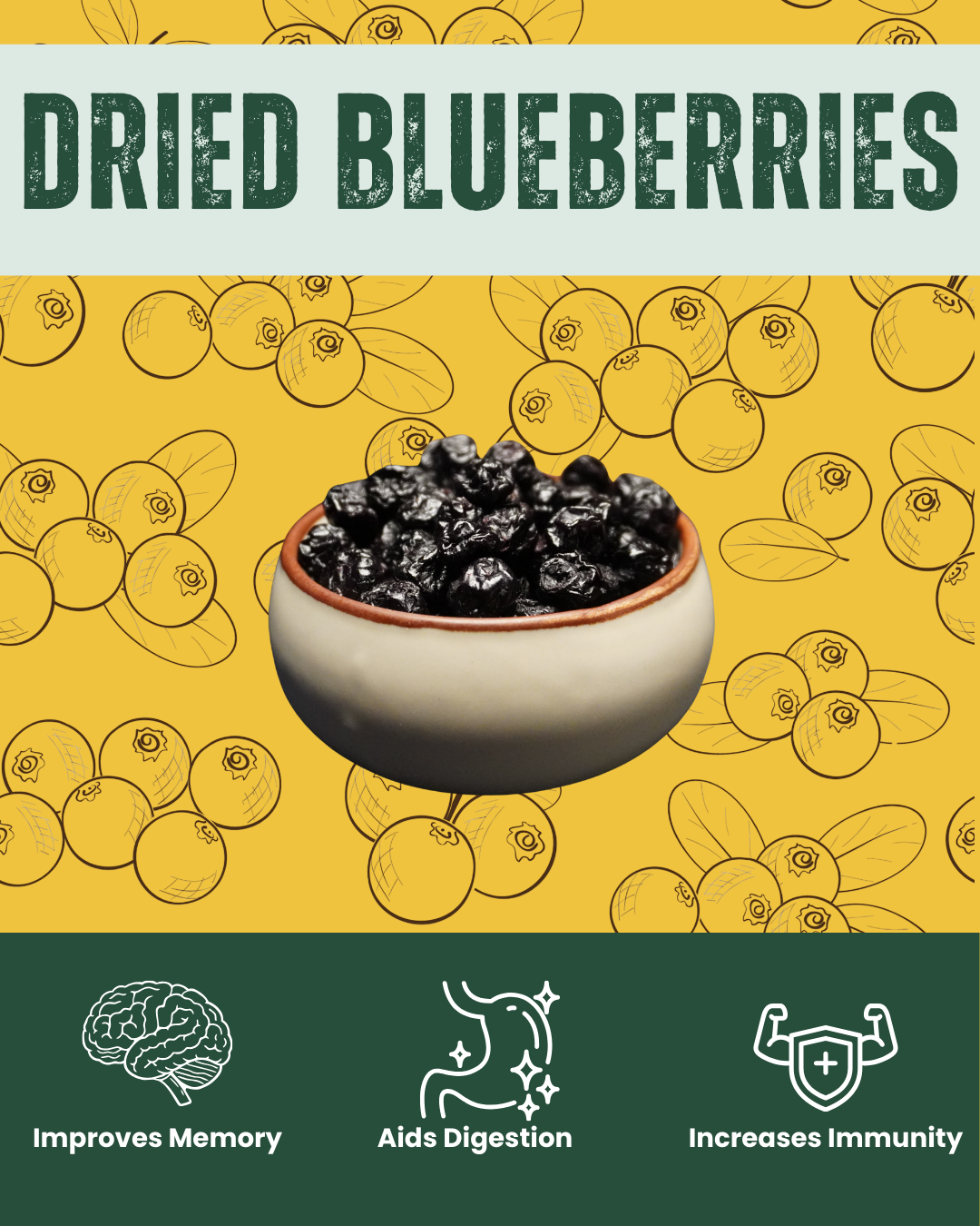 Premium dried blueberries - sweet superfood snack by SnackVana