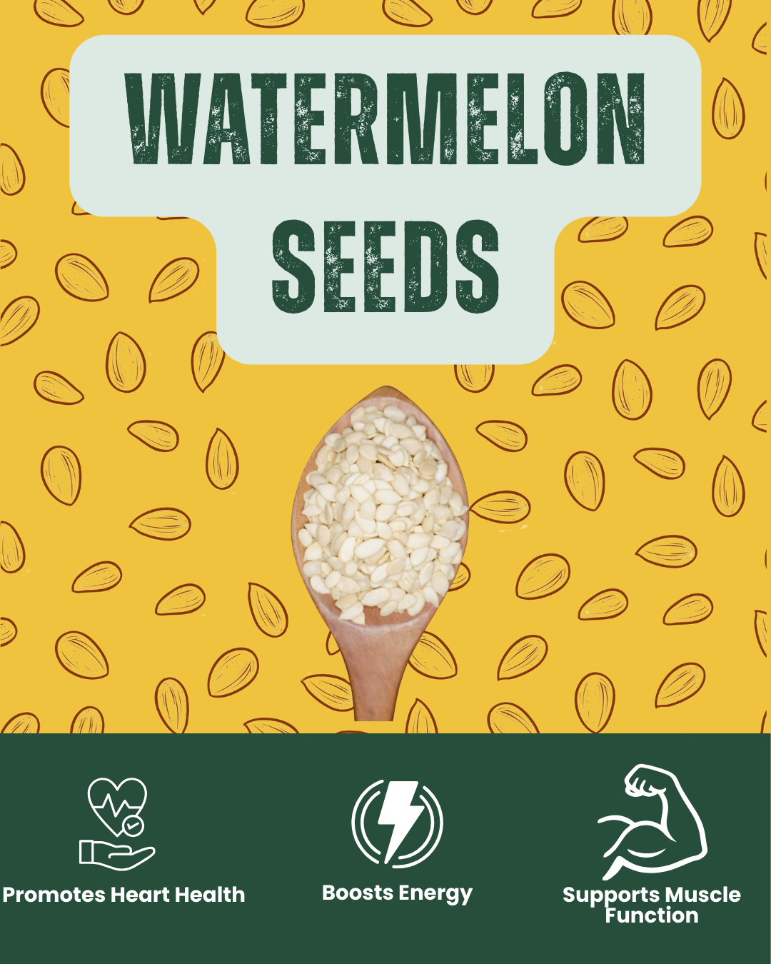 Crunchy watermelon seeds - energy-boosting superfood with minerals