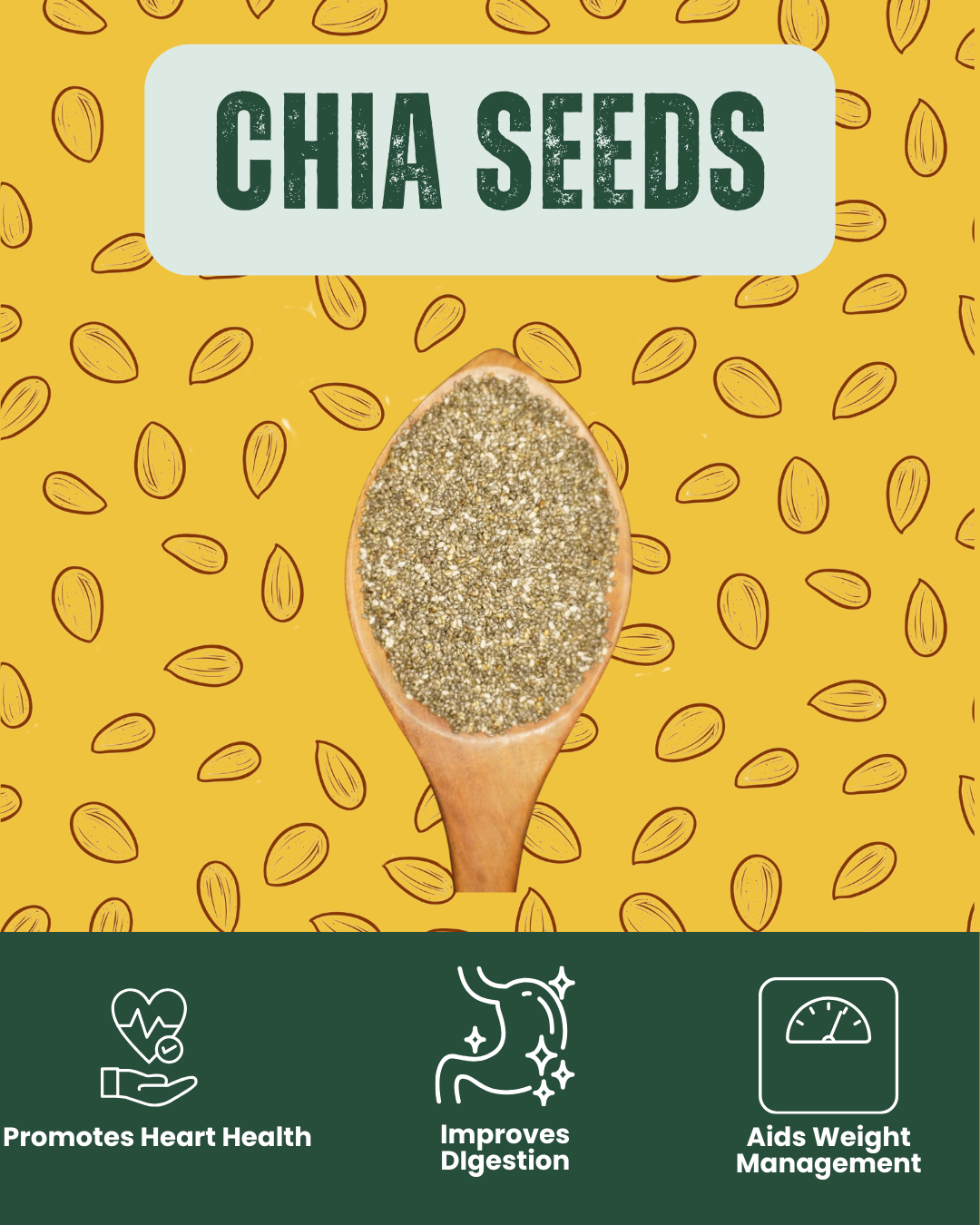 Raw chia seeds - high in omega-3, fiber, and plant-based protein