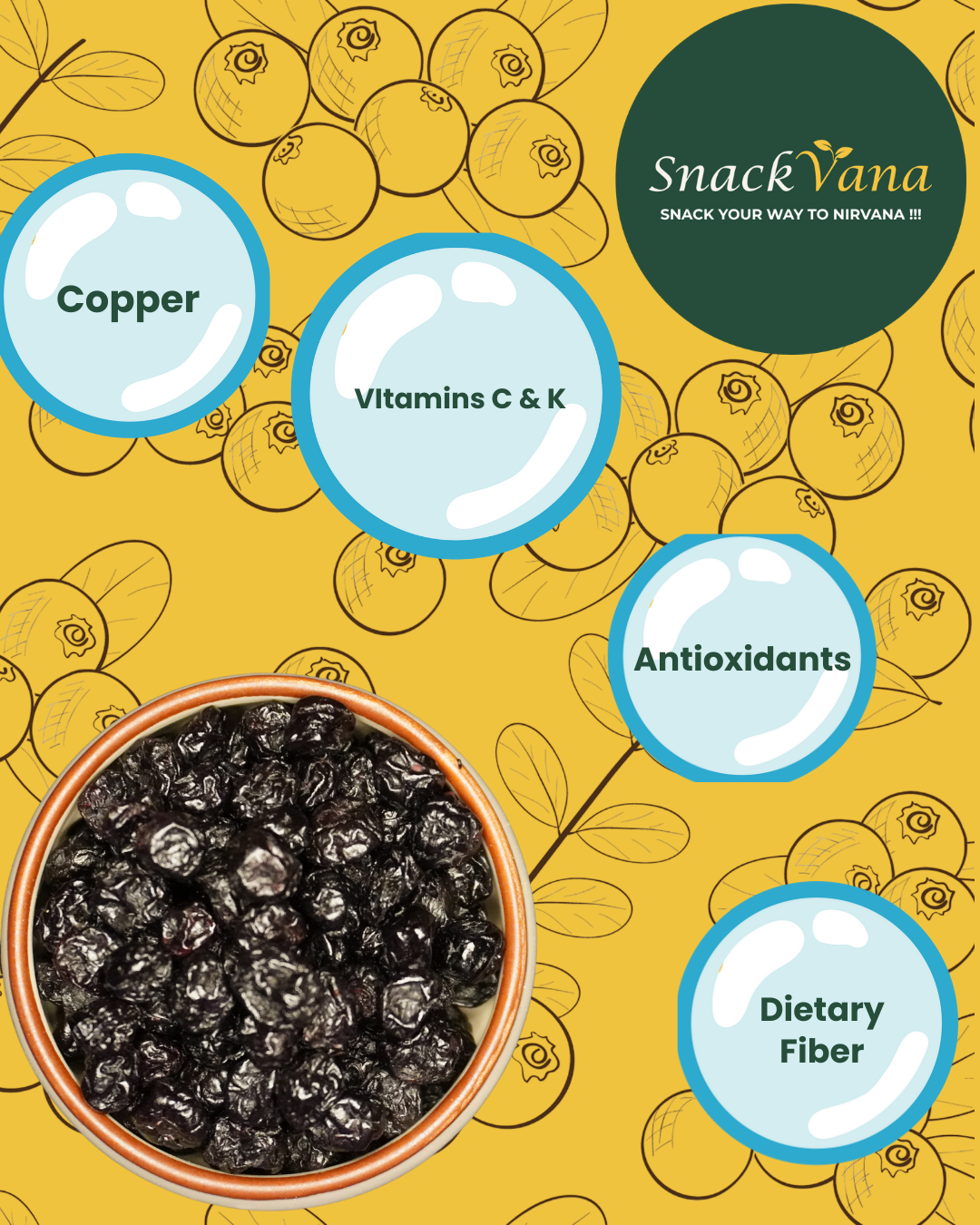 Close-up of dried blueberries showing rich color and nutrients