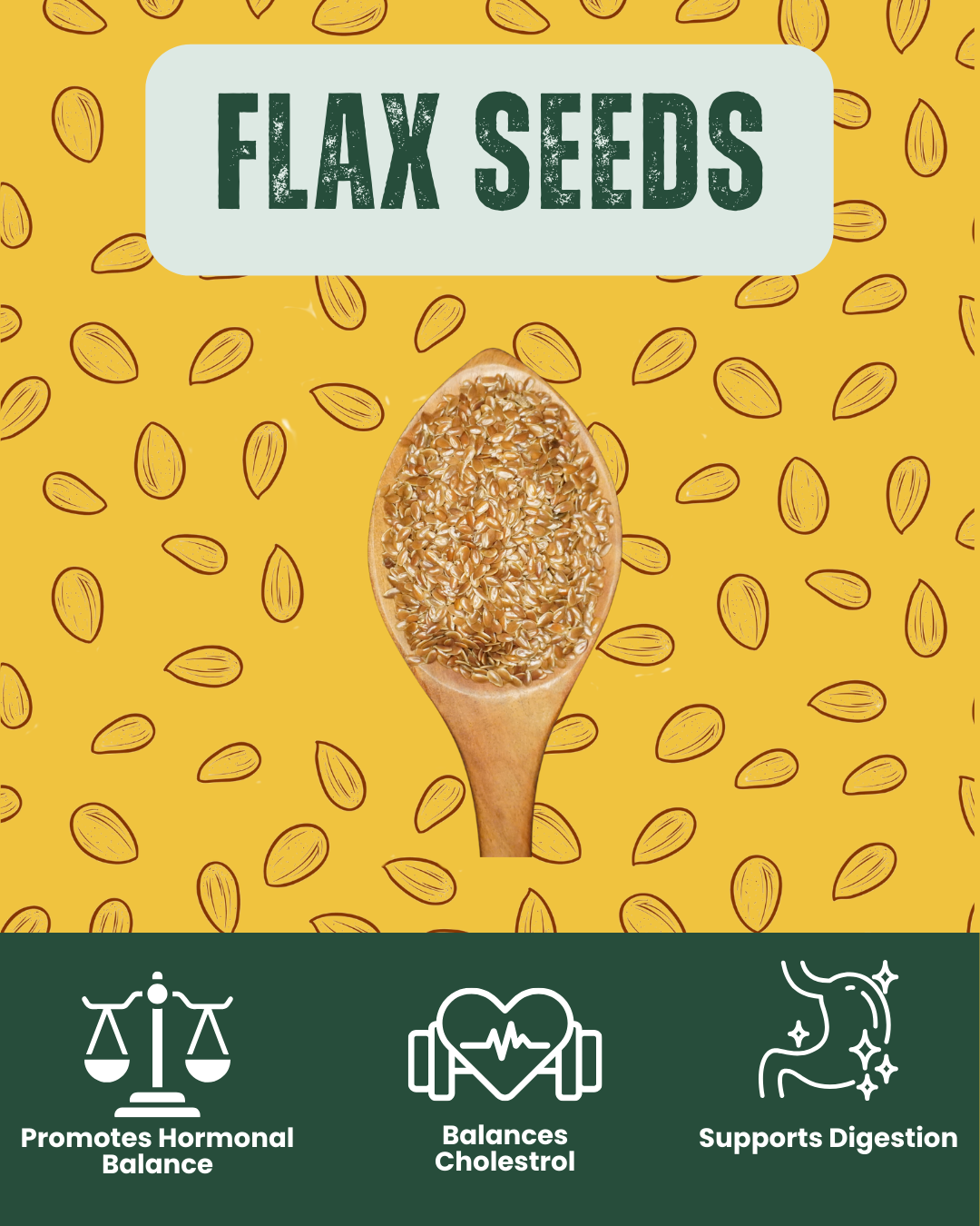 Flax Seeds